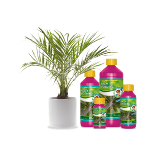 Wilma Palm voeding 250ml