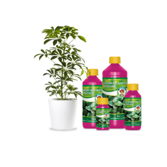 Wilma Groene plant voeding 250ml