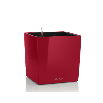 Lechuza Cube premium 30 Scharlakenrood hoogglans