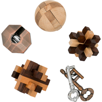 Breinbreker Curated Collection 3 Houten en 2 Metalen Puzzels Project Genius