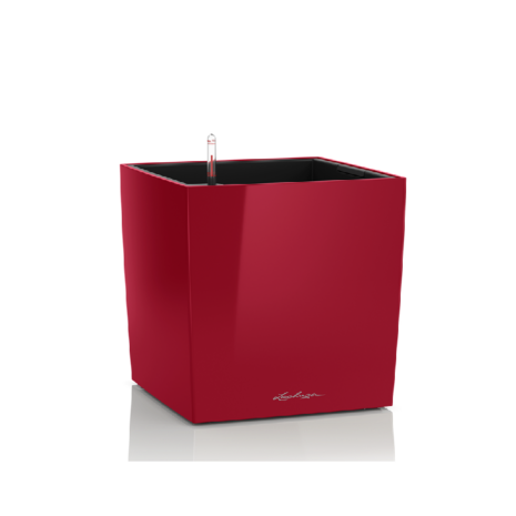 Lechuza Cube premium 30 Scharlakenrood hoogglans