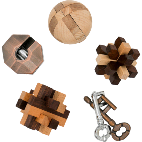 Breinbreker Curated Collection 3 Houten en 2 Metalen Puzzels Project Genius