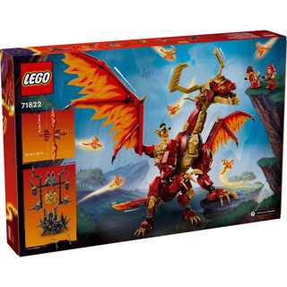 LEGO Ninjago Brondraak Van Beweging